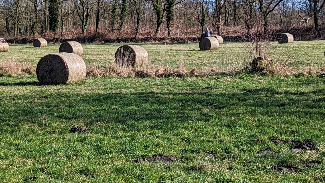 Erste Wanderung des Jahres