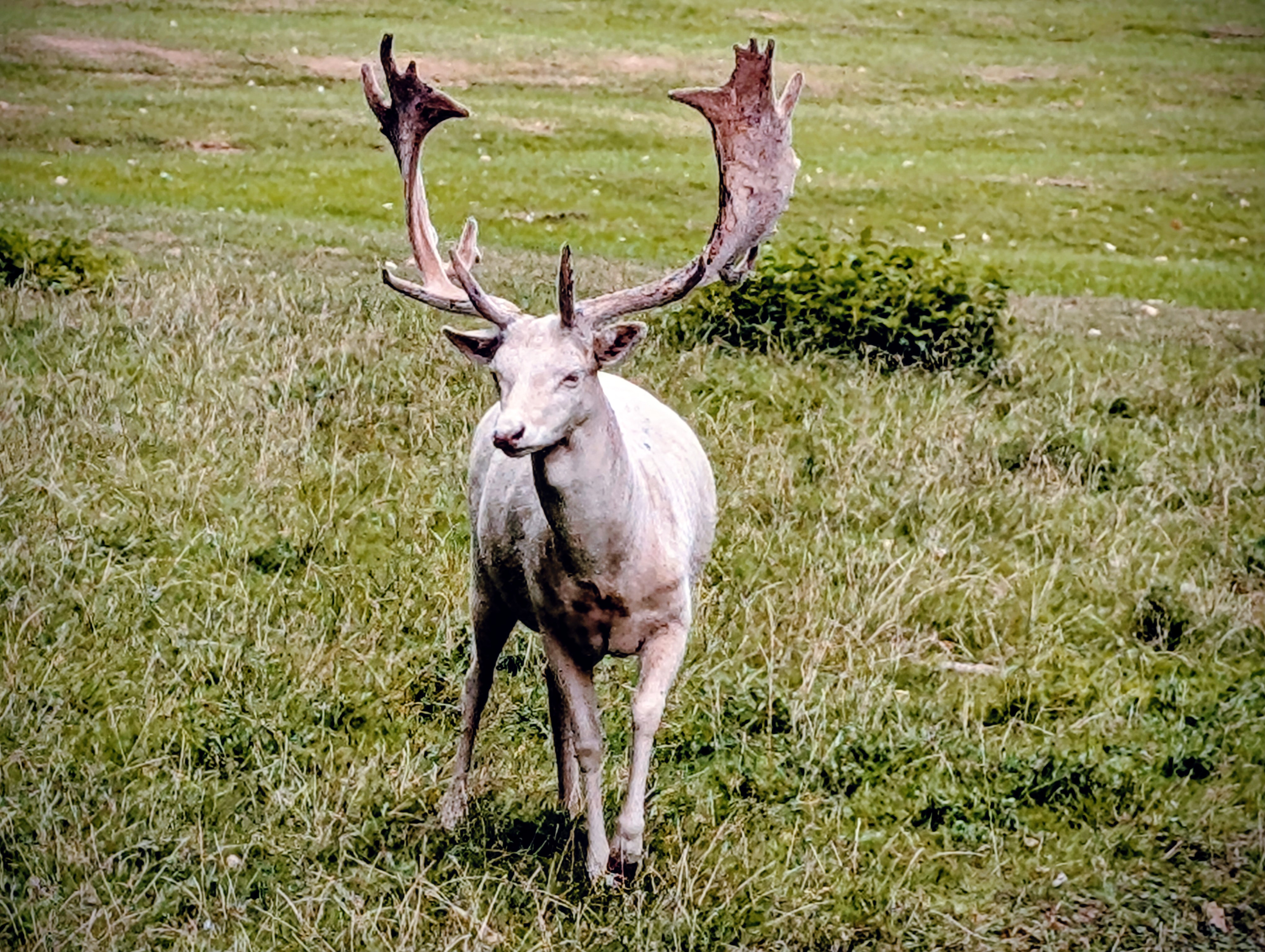 Drei Nächte in Bad Driburg