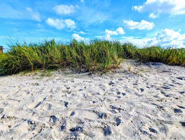 Ein Nachmittag in Schillig